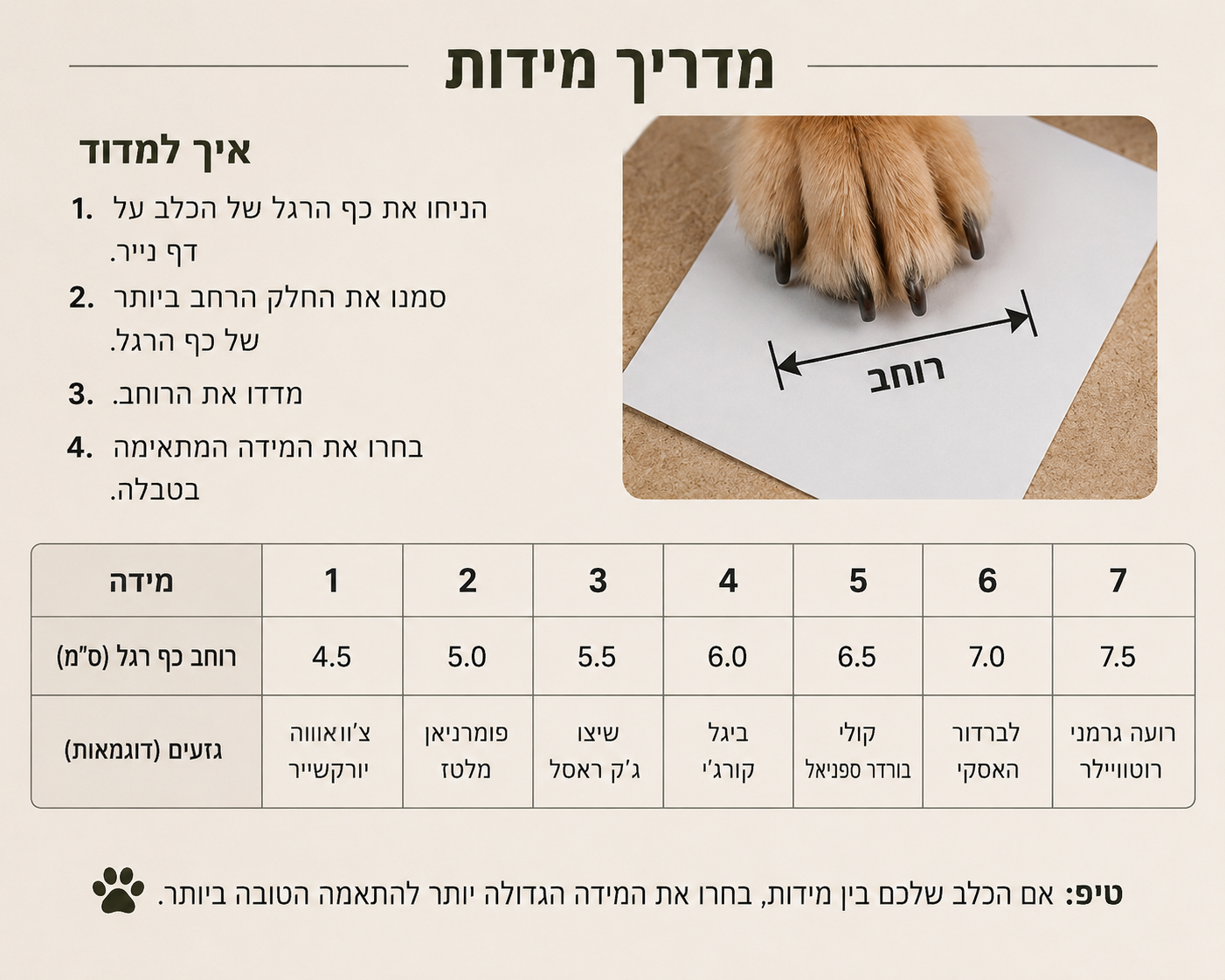 NalaPaw Summer Shield – נעלי ההגנה לקיץ לכלב שלך